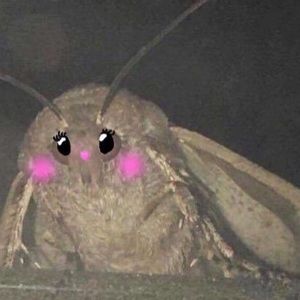 Meet your Posher, Sabrina